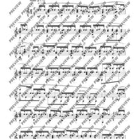 100 Classical and Romantical Études