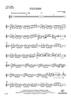 Fleckish - Solo Violin (Optional Electric)