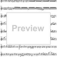 Concerto for Mandolin and Orchestra in F major - Mandolin