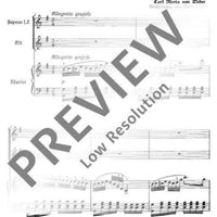 Es blinken so lustig die Sterne - Score