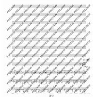 Collected Studies for Player Piano