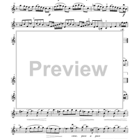 Suzuki Violin School, Volume 6 - Violin Part