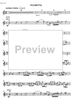 Duetti in modo enarmonico - Violin 1