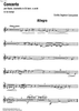 Concerto - Flute
