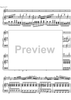 Concerto No. 1 G Major KV313 - Score