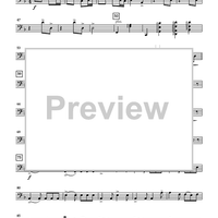 Shipwreck Beach - Cello