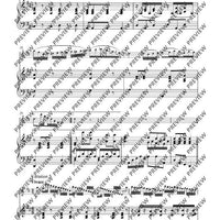 Variationen über „Nel cor più non mi sento“