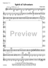 Spirit of Adventure - Euphonium TC