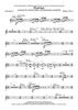Shaman - Percussion 2