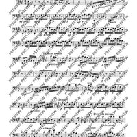 Due Divertimenti brillanti - Set of Parts