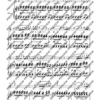 Complete Flute Works