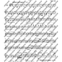 Introduction et Allegretto