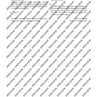 Concerto No. 1 in A Minor