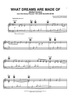 What Dreams Are Made Of (Ballad Version)