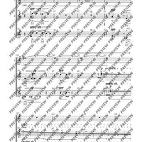 Adiantum Capillus-Veneris III (Maidenhair fern III)