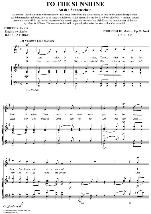 To The Sunshine (An den Sonnenschein)