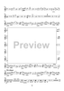 The Horn Concerti - Horn