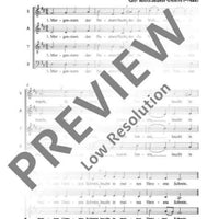 Morgenstern der finstern Nacht