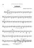 Andante - from Piano Concerto #21, K. 467 - Cello/Bassoon 4