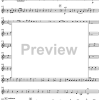 Concerto for Mandolin and Orchestra in F major - Violin 1