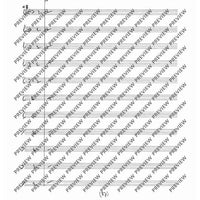 Collected Studies for Player Piano