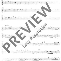 Concerto G Major - Performing Score