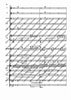 Il Vitalino raddoppiato - Full Score