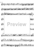 Concerto No. 2 C Major KV314 - Flute