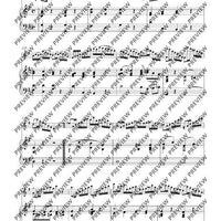 Introduction, Thema und Variationen