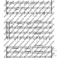 Hackbrett und Flöte - Performing Score