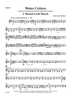 Water Critters - A Suite for String Orchestra and Optional Percussion - Violin 2