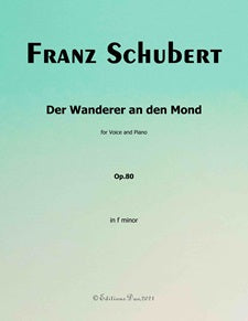 Der Wanderer an den Mond