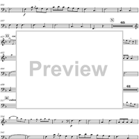 Concerto for Mandolin and Orchestra in F major - Contrabass