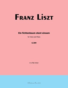 Ein fichtenbaum stent einsam