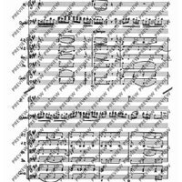 Concerto E Major - Score