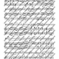 Grand Duo concertant