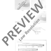 The Modern Recorder Player