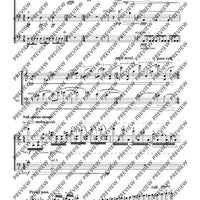 Cadenzas - Performing Score