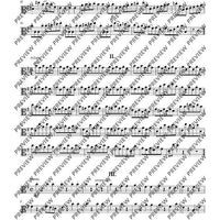 Concerto E Minor - Set of Parts