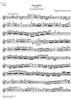 Concerto No. 1 G Major KV313 - Flute