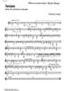 Tanijetz - Bass Clarinet 4