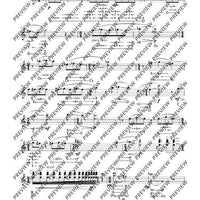 The Flute Expedition