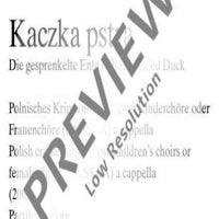 Kaczka pstra - Score