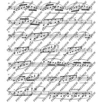 12 Etudes-Caprices caractéristiques