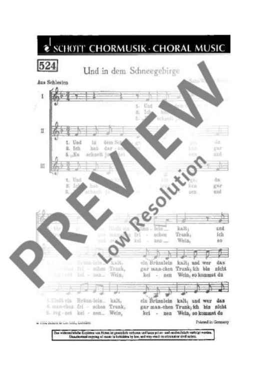 Und in dem Schneegebirge - Choral Score