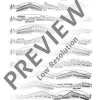 30 Virtuoso Etudes in all major and minor keys