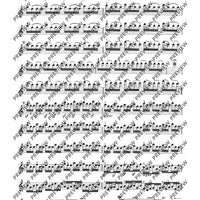 100 Technical Paraphrases on Kreutzer-Etudes