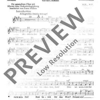 Am schönen Rhein gedenk ich dein - Tenor