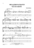 Mellotron Scratch