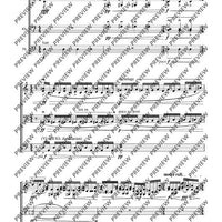 Cadenzas - Performing Score